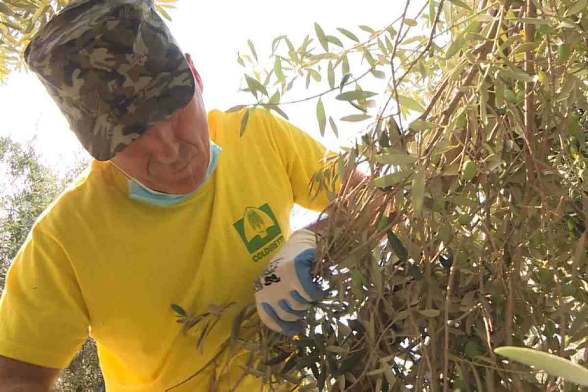 Nuovo allarme in Puglia