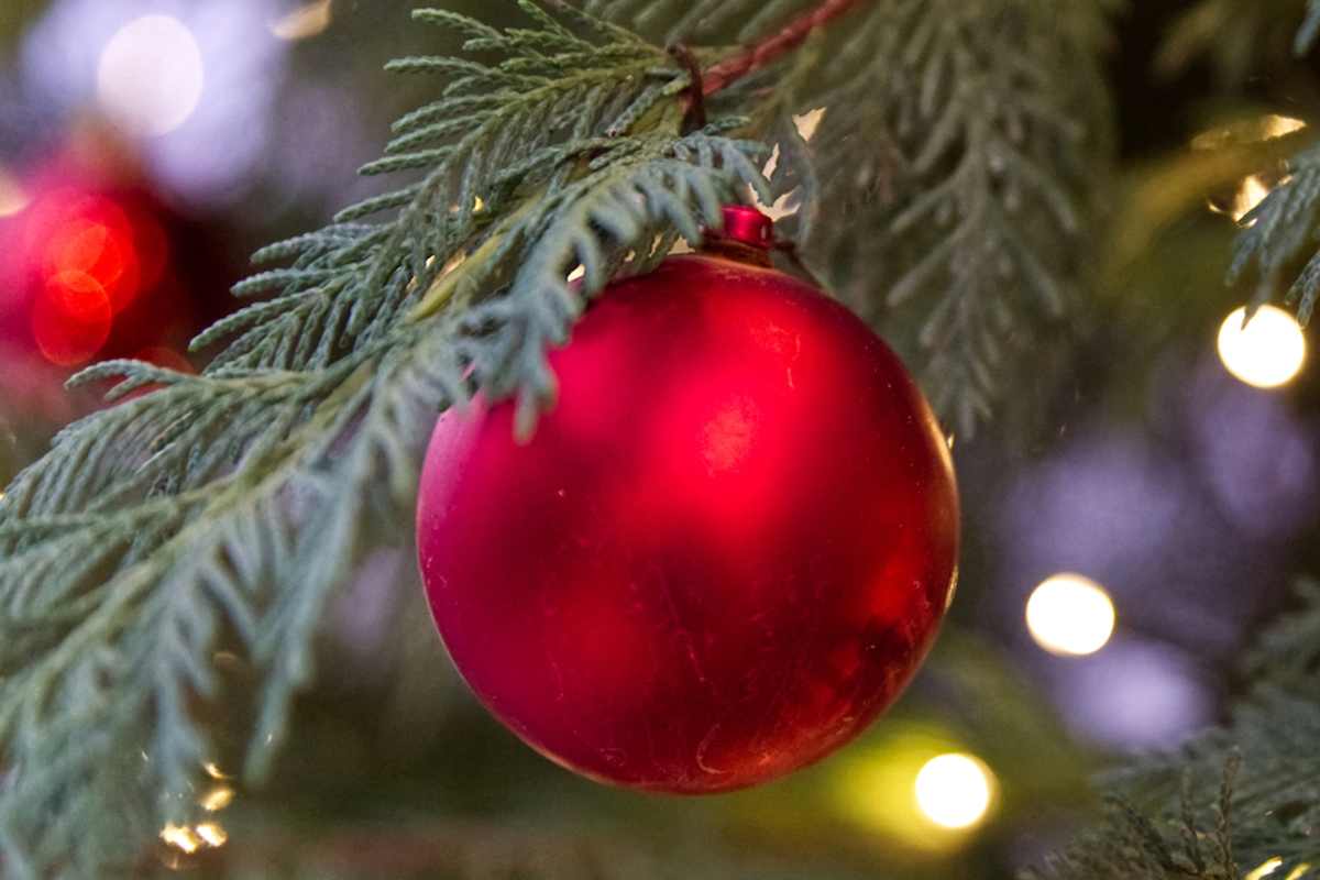 Natale in Puglia: dove trascorrere 4 giorni fantastici